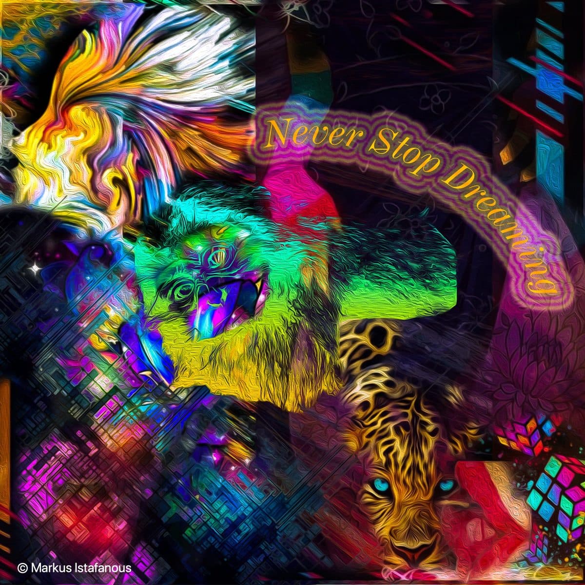 Never Stop Dreaming