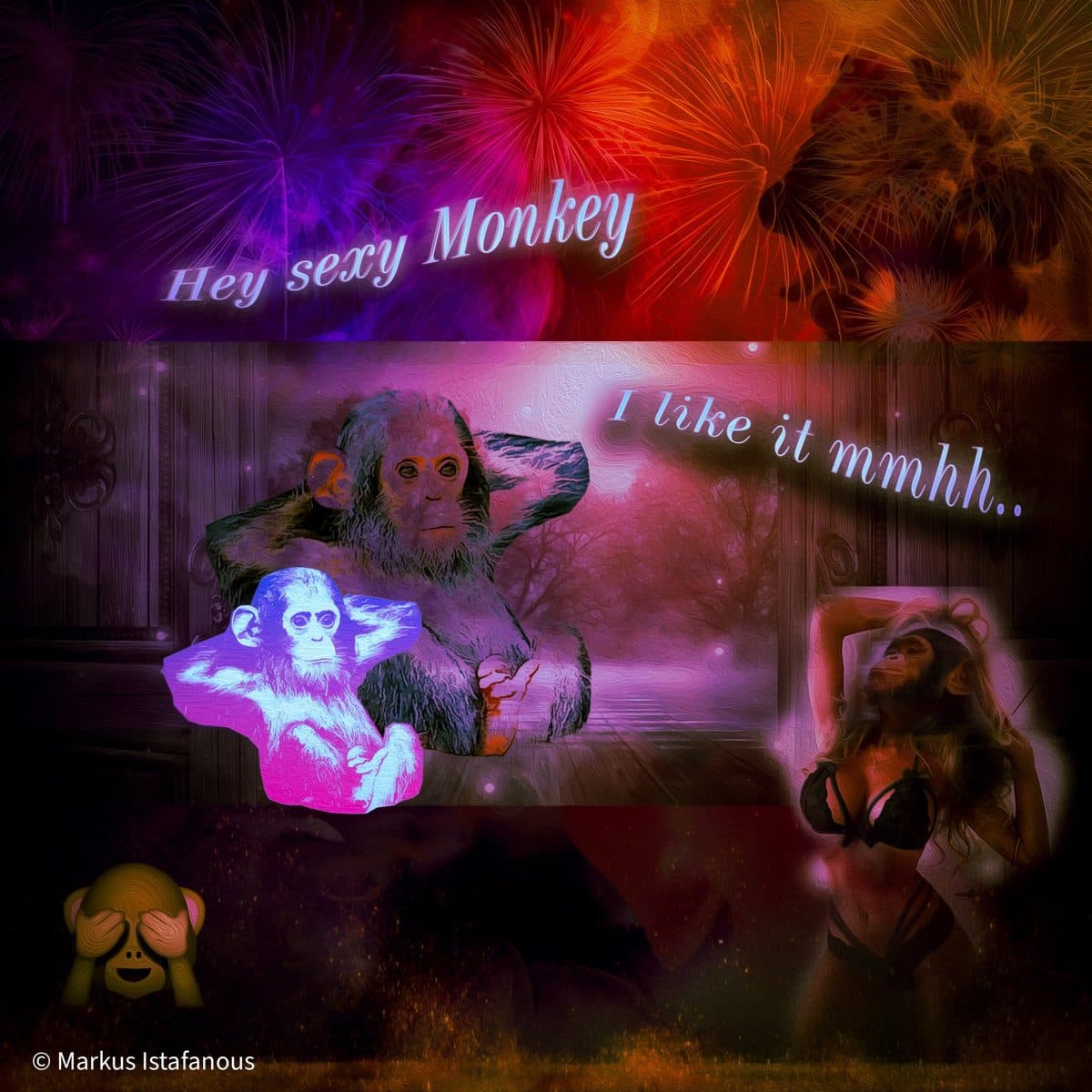 Hey Sexy Monkey